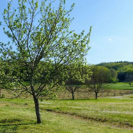 Doppelhaushaelfte In Einem Alten Bauernhof Im Perigourdine By Interhome * Sainte-Mondane
